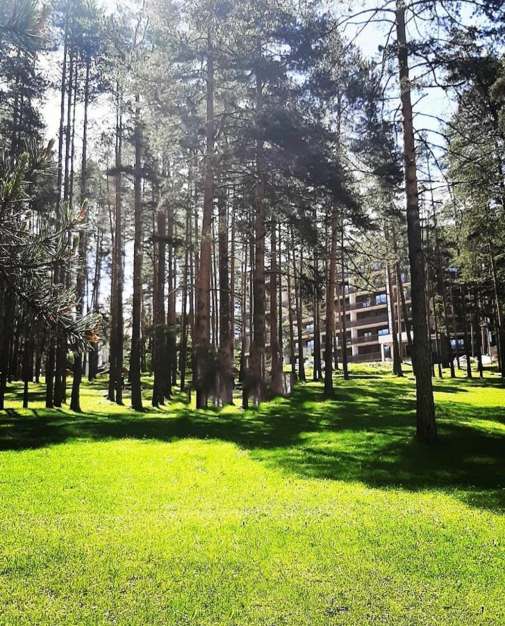 Panorama Lux Apartmani Vila Pekovic Zlatibor Kültér fotó